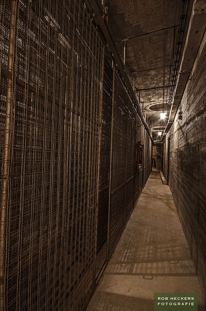 _DSC0175N%20kopiëren