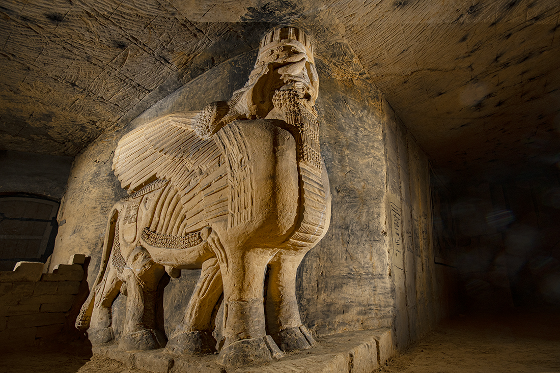 DSC_0100%20Nov%202019